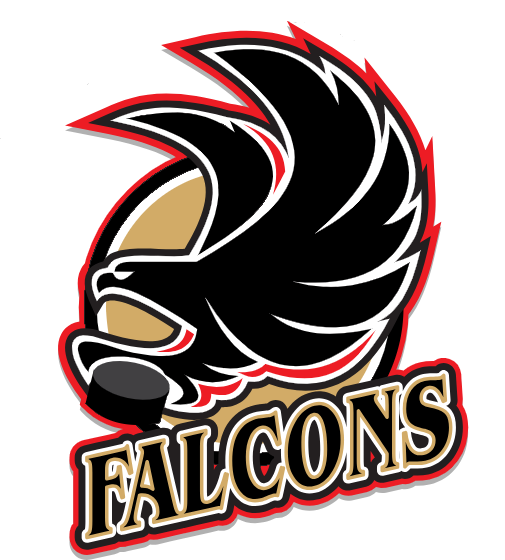 Flamborough Falcons
